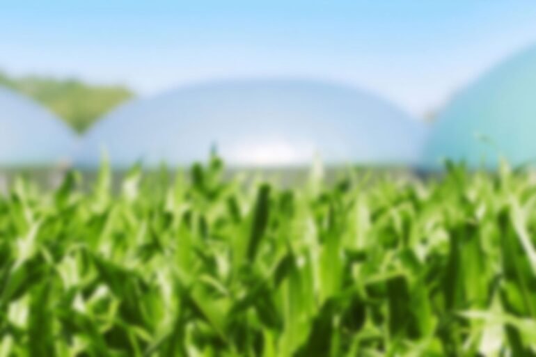 Flank jerky cow sirloin strip steak t-bone bacon